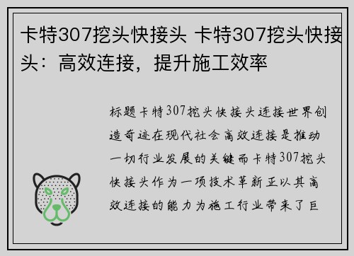 卡特307挖头快接头 卡特307挖头快接头：高效连接，提升施工效率